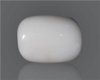 Natural White Coral  14.58 CTS (50171)